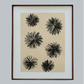 Sand Flower