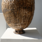 Nest