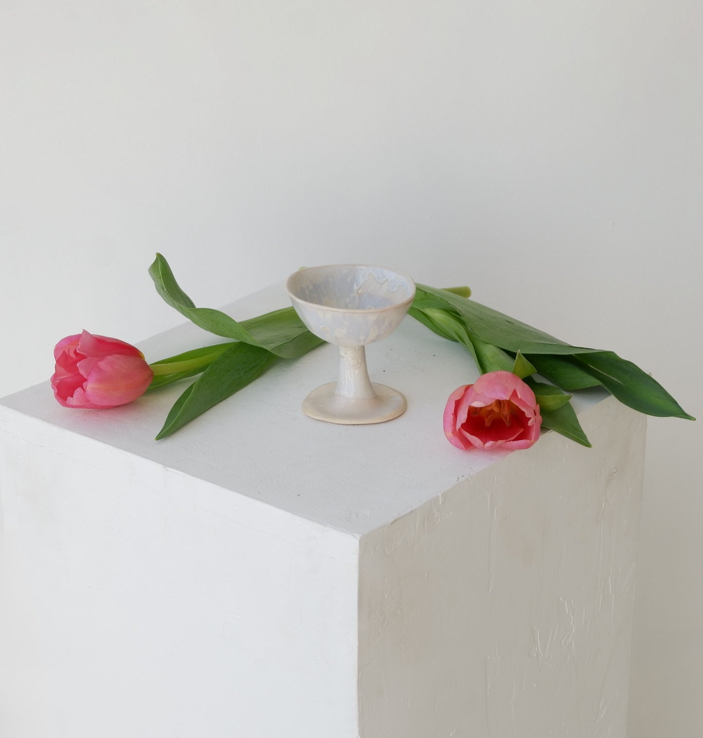 Martini Cups