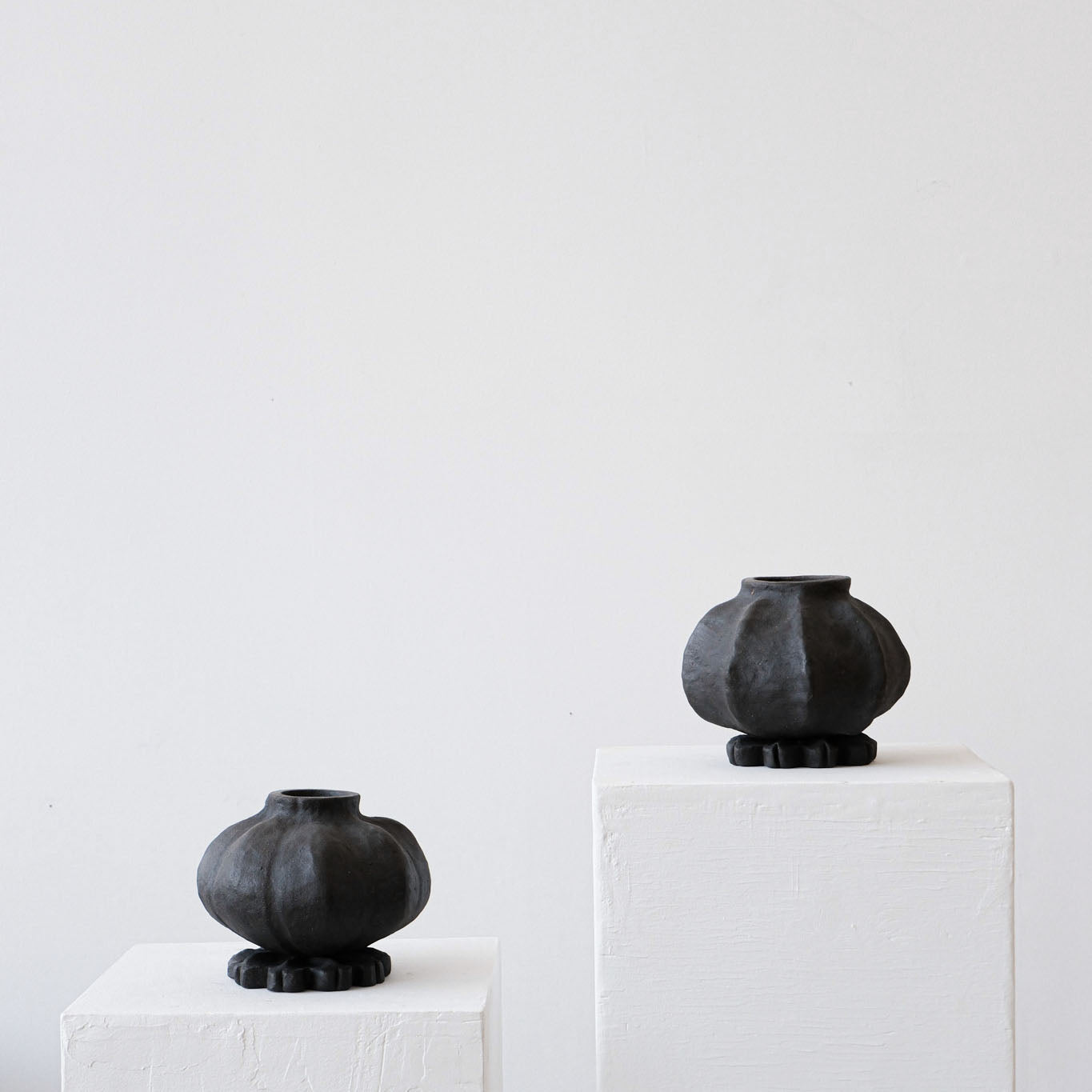 Poppy seed #3