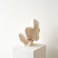 Contortion