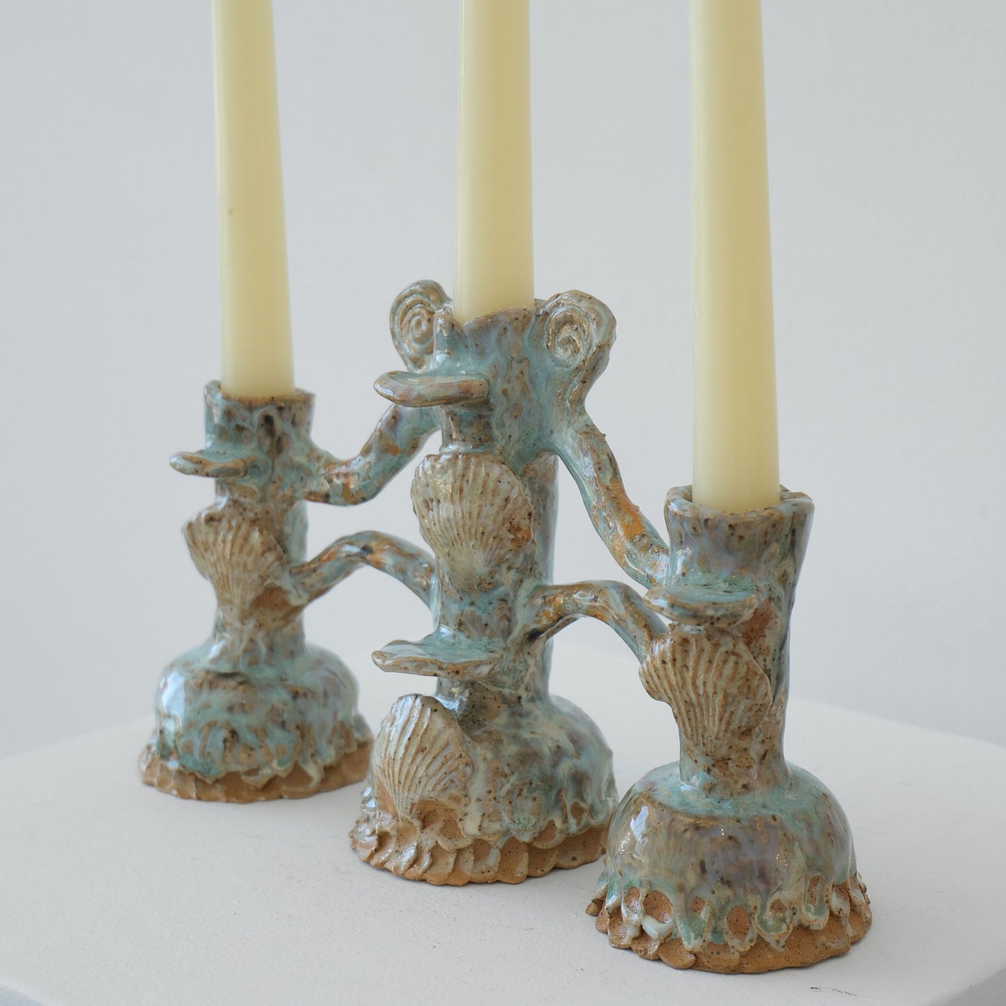Scallop Shell Altar