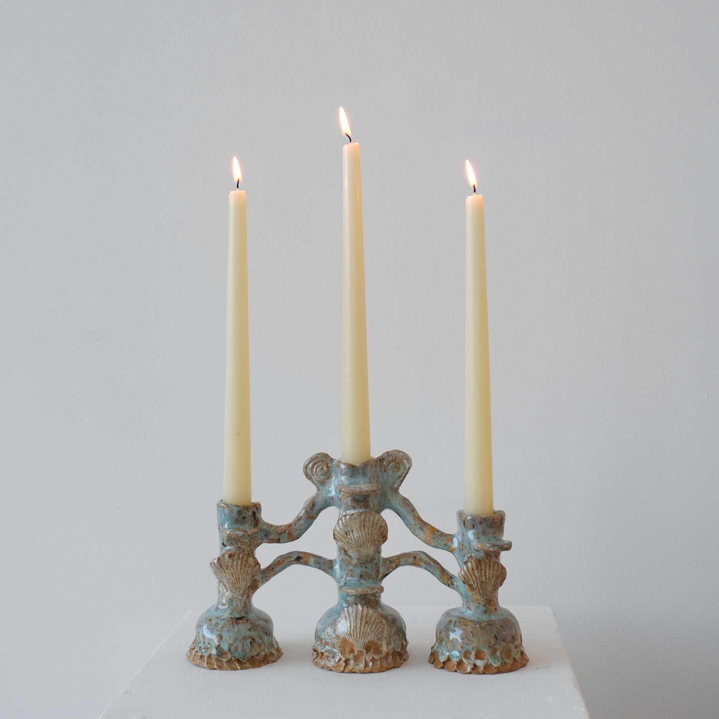 Scallop Shell Altar