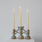 Scallop Shell Altar