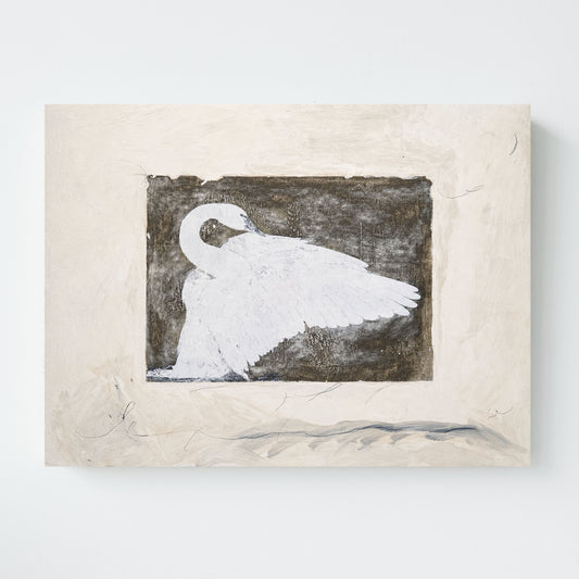 Swan III