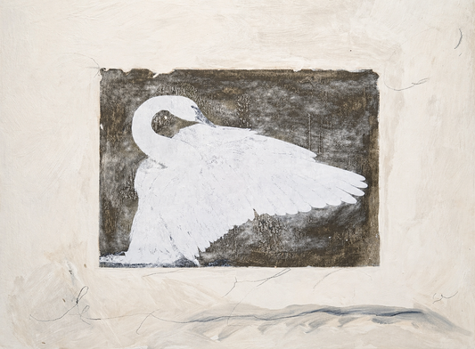 Swan III