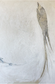 Swallow III