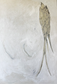 Swallow III