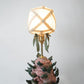 Spring Bulb