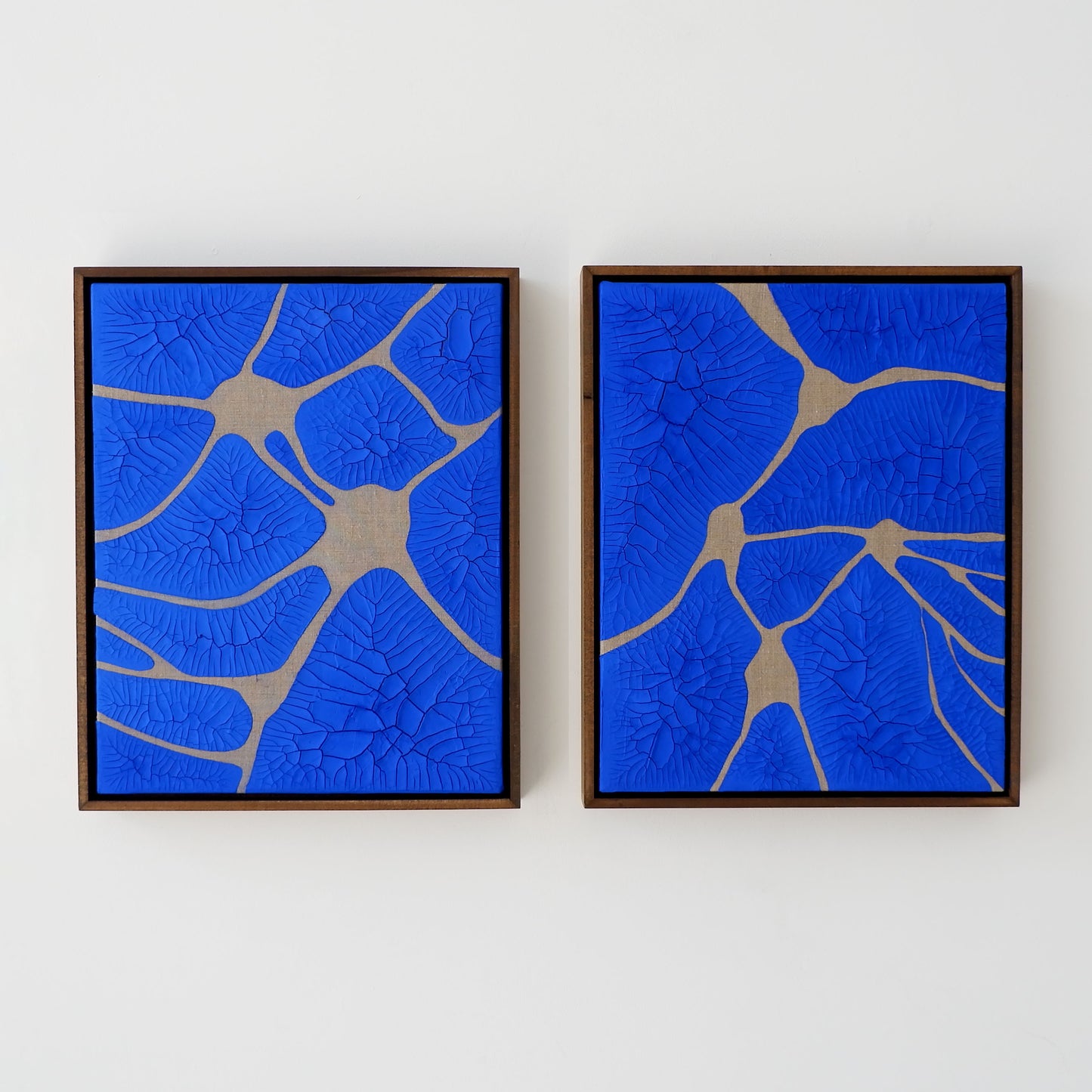 Ikigai VIII (Diptych)