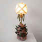 Spring Bulb